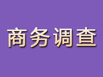 广河商务调查